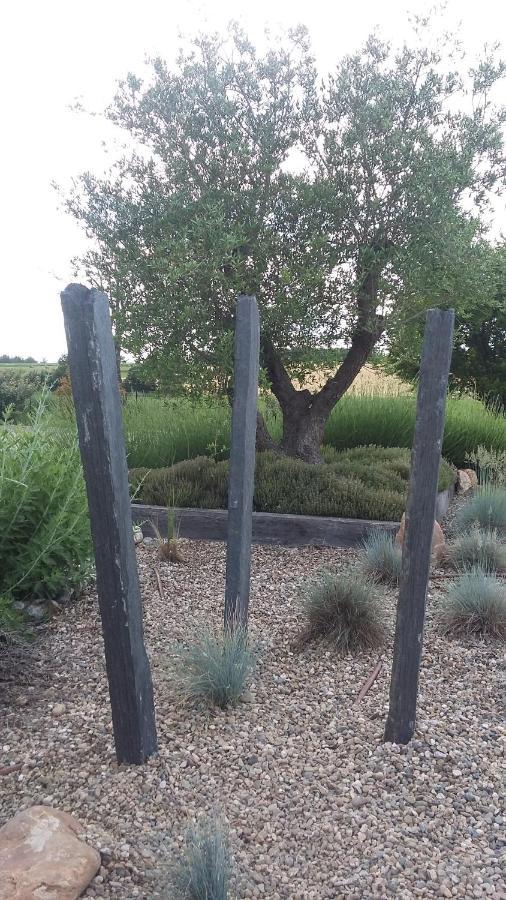 Domaine 3 Soleils Bed and Breakfast Labastide-de-Lévis Εξωτερικό φωτογραφία