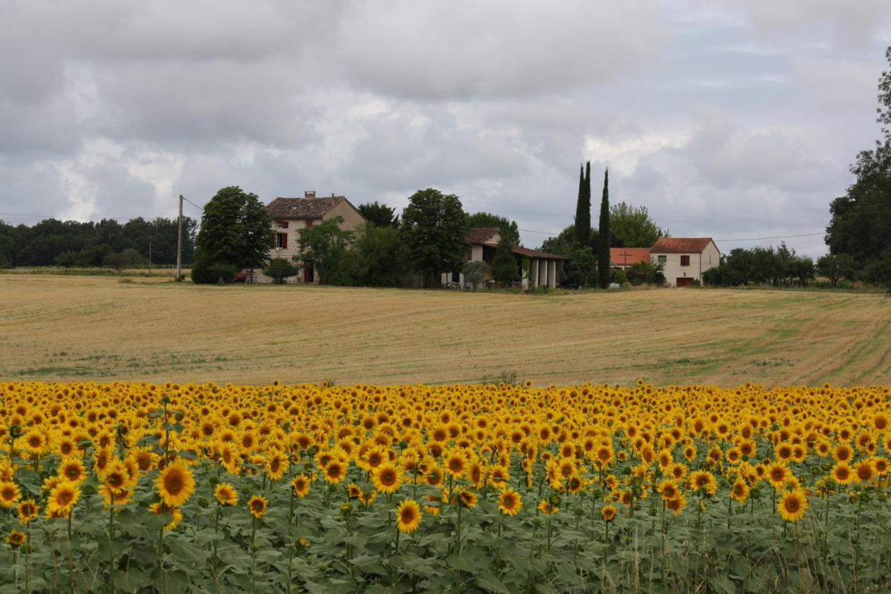 Domaine 3 Soleils Bed and Breakfast Labastide-de-Lévis Εξωτερικό φωτογραφία